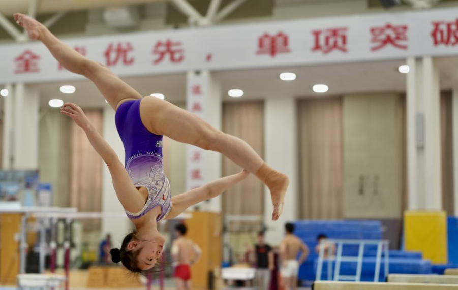 米乐体育M6用户反馈与真实评价